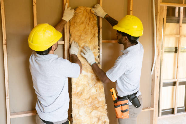 Best Insulation Replacement  in Lytle, TX